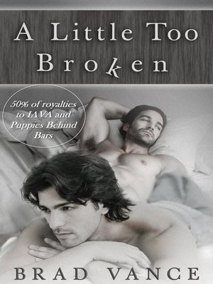cover image of A Little Too Broken